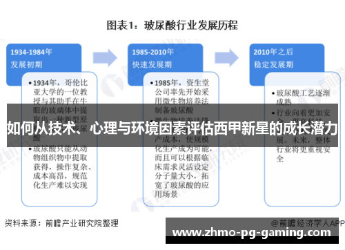 如何从技术、心理与环境因素评估西甲新星的成长潜力