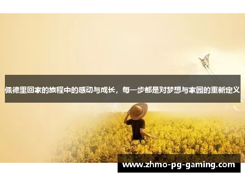 佩德里回家的旅程中的感动与成长，每一步都是对梦想与家园的重新定义