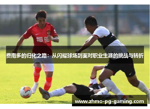 费南多的归化之路：从闪耀球场到面对职业生涯的挑战与转折