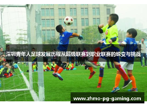 深圳青年人足球发展历程从超级联赛到职业联赛的蜕变与挑战