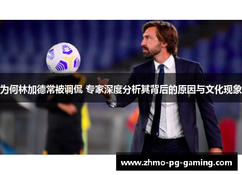 为何林加德常被调侃 专家深度分析其背后的原因与文化现象