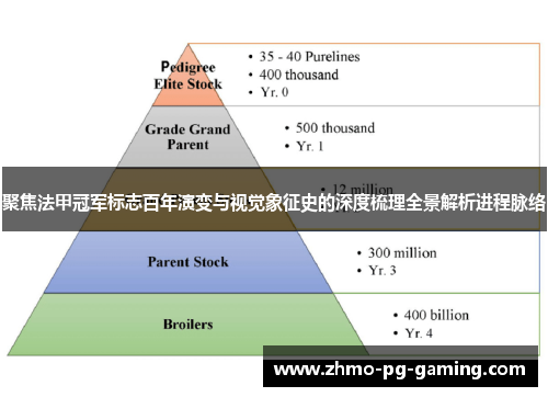 聚焦法甲冠军标志百年演变与视觉象征史的深度梳理全景解析进程脉络 聚焦法甲冠军标志百年演变与视觉象征史的深度梳理全景解析进程脉络