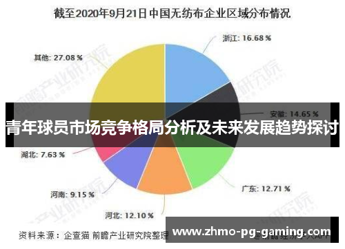 青年球员市场竞争格局分析及未来发展趋势探讨 青年球员市场竞争格局分析及未来发展趋势探讨